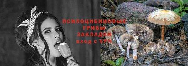 гидропоника Беломорск