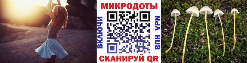Псилоцибиновые грибы Psilocybe  где продают   Володарск 